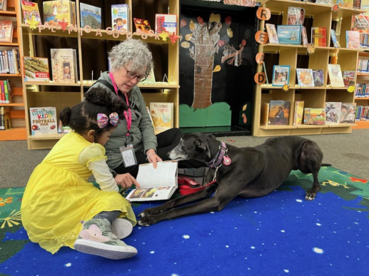 D.A.R.T. Dogs: Dogs Are Readers Too! Local therapy dogs come to the library weekly to visit with families. Seen here, a child reading with Izzy the Greyhound and her trainer.