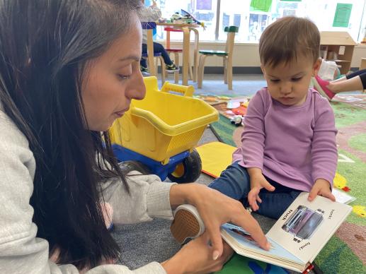 Parent reading a picture book to a young child.