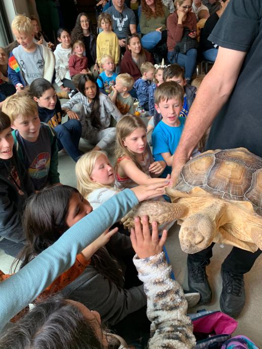 Animal visits at the library 